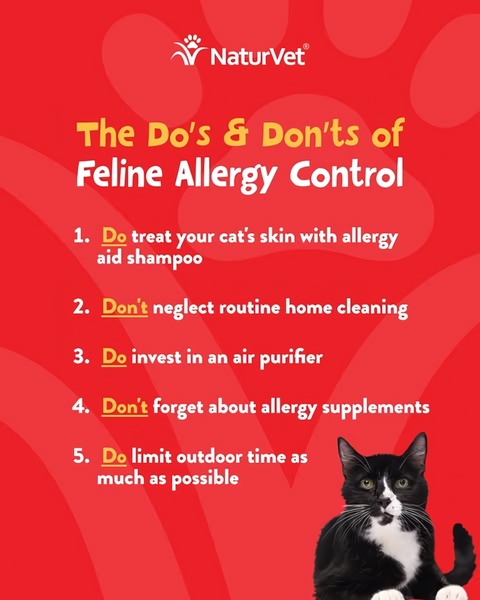 An educational infographic-style ad listing five essential tips for managing cat allergies using a high-contrast red background.